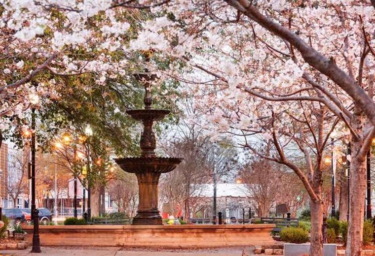 Third Street Park, Macon